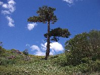 Torrente_Quarantore - 20100606 122.jpg